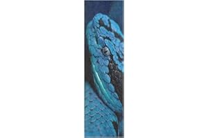Mnsruu Serpent De Camouflage Bleu Cool Grips Skateboard Bande Antidérapant Planche à Roulettes Grip Papier de Verre Sports Plein air Scooter (84 x 23 cm)