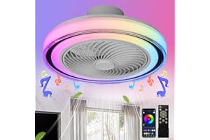 LED Plafondventilator met Verlichting RGB Plafondlamp met Ventilator Dimbare Plafondverlichting met Afstandsbediening en APP Moderne Lamp met Ventilator voor Woonkamer Slaapkamer Kinderkamer 50CM LED Plafondventilator met Verlichting RGB Plafondlamp met Ventilator Dimbare Plafondverlichting met Afstandsbediening en APP Moderne Lamp met Ventilator voor Woonkamer Slaapkamer Kinderkamer 50CM