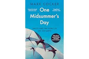 One Midsummer's Day: Swifts and the Story of Life on Earth