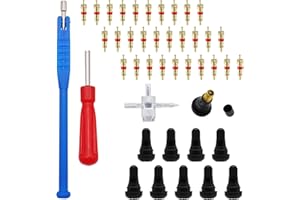 RUNCCI-YUN 43Pcs Herramientas de Válvulas de Neumáticos, 30 Pcs Núcleos Válvula+10 pcs Boquillas TR412 +Llave Universal+Llave Núcleos+Herramienta para Instalación Boquilla