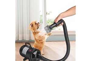 DDMINE Séchoir Sèche-Poils Toilettage pour Chiens Chats, Sèche-Cheveux Séchoir avec Tuyaude 2.5 m et 4 Buses Différentes, Chaleur et Vitesse Réglable, Pulseur Chien, Sèche-Cheveux pour Animaux (Noir)