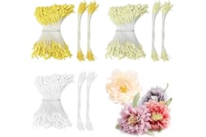 CiShow 1200 STK Blumen Staubblätter, 2.5+1mm Malzförmige Künstliche Staubblatt, Doppelköpfe Perle Blume Staubblatt, Matte Simulierten Stamens, Mini Künstliche Doppelköpfe Perle Blume für DIY Handwerk