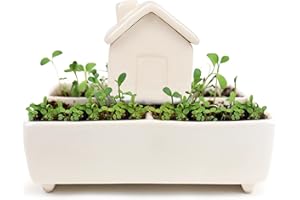 Gift Republic Self Watering House Herb Grow Kit Basil Rosemary Thyme Parsley Seeds Kitchen Garden Gift, White