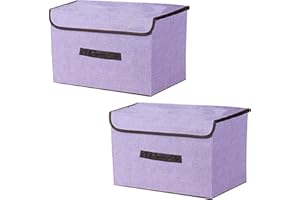 NCRGB Caja Almacenaje Con Tapa, Cajas de Almacenaje Ropa, Caixas Arrumação, Caja de Almacenamiento Plegable Para Guardar Ropa (36×23×24cm/2pack, Morado)
