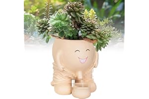 BAISHUWU pot de fleurs avec visage, Pot Fleur Balançoire, Pots de Succulentes Visage Souriant, Pots de Jardinière de Visage de Sourire, Smile Face Pot de fleurs succulentes, pour D'intérieur et D'extérieur (D)
