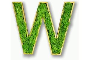 Acryltypo Moosly® Holzbuchstabe – W - mit Rahmen aus Holz, Moos Deko Buchstaben Zeichen Symbol Zahl - Holzbuchstabe mit echtem Islandmoos - Wandbilder Wohnzimmer Deko Wand Bilder Wohnzimmer Bilder