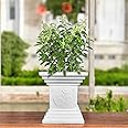 Go Hooked 16 Inch Tulsi Pot Traditional Decorative Planter Perfect for Home and Pooja Decor, Balcony, and Garden | Durable Weather-Resistant White