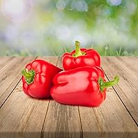 Paprika/Pimento"Yolo Wonder" 25 x Samen aus Portugal 100% Natursamen… (Paprika Yolo Wonder)