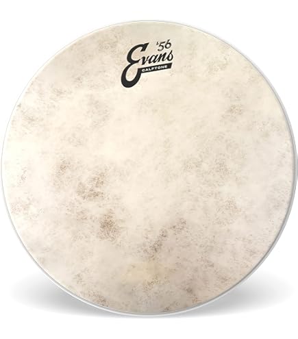 Latin Percussion LP3012-SM LP Stanton Moore Pandeiro : Amazon.in
