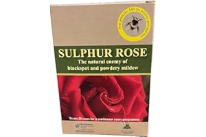 PETER BEALES Sulphur Rose Natural Rose Disease Treatment, Blackspot and Mildew Prevention, 250g Pack for 20 Rose Bushes
