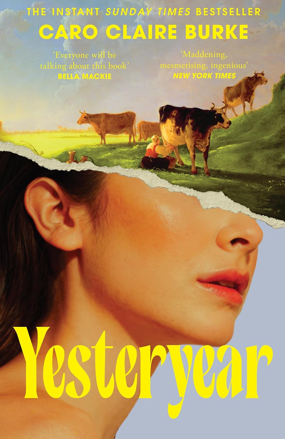 Vue 7