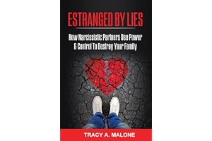 Estranged By Lies: How Narcissistic Partners Use Power & Control To Destroy Your Family