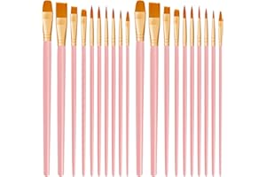 CNMTCCO Juego de 20 Pinceles de Pintura de Nailon para el Cabello, para acrílico, óleo, Acuarela, Gouache, Pintura Facial, Pinceles para niños y Adultos (Azul) (Rosa)