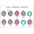 Anne Print Solutions® Early Pregnancy Symptoms Chart for Hospital, Nursing Home, Clinic - Multicolor Poster Pack of 1, Size 13 Inch X 19 Inch