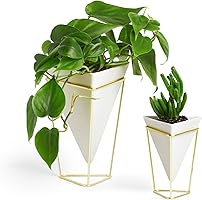 UMBRA Trigg, Jardinière de Bureau & Pot Géométrique – Idéal pour des Plantes Succulentes, des Plantes Aériennes, des Mini Cactus, des Fausses Plantes et Autres, Céramique Blanche/Laiton (Lot de 2)