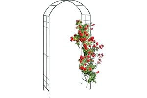Relaxdays Arche à rosiers, métal, Portail de Jardin, HxLxP : 224x110x41 cm, tuteur Solide pour Plantes grimpantes, Vert