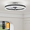 VOLISUN Ceiling Fans with Lights and Remote, 50cm Modern Smart LED Ceiling Fan Light, 6 Speeds and 3000K-6500K Dimmable Quiet Fan Ceiling Lights for Bedroom Living Room Dining Room (Black)