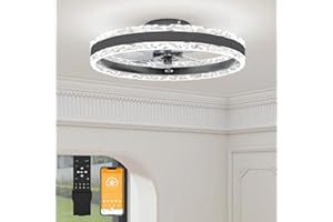 VOLISUN Ceiling Fans with Lights and Remote, 50cm Modern Smart LED Ceiling Fan Light, 6 Speeds and 3000K-6500K Dimmable Quiet Fan Ceiling Lights for Bedroom Living Room Dining Room (Black)