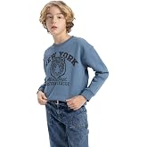 DeFacto B7822a8 Sweatshirt Boy