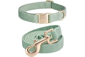 YUDOTE Dog Collar and Lead Set Small,Soft Non-irritant Corduroy Collar Leash Matching Combo for Daily Walking,Sage Green