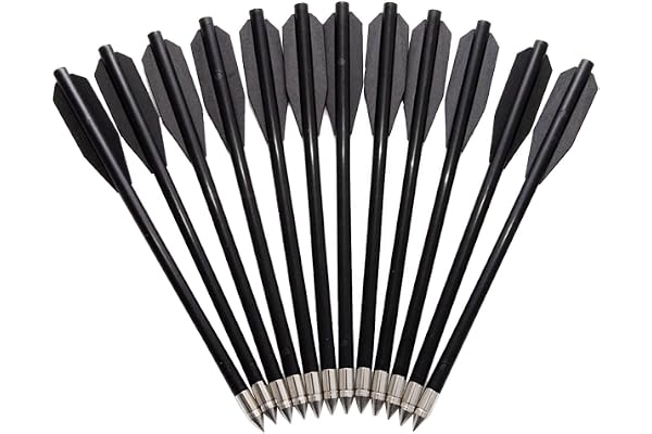 12 Flèches Darts en métal pour Abs Arbalète Black Arrow Target Target