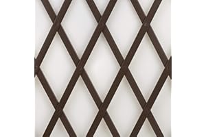 TENAX Treplas 0,50x2 m Braun, Ausziehbares Rankgitter als Hilfe für Kletterpflanzen und Blumen