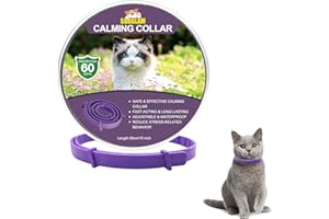 SURGLAM Collare calmante per Gatti, Collare Anti-ansia con Dimensioni Regolabili, 2 Mesi di Protezione, Effetto Calmante Impermeabile Sicuro Naturale Duraturo Rilievo di Ansia Collare ai Feromoni per Gatti…
