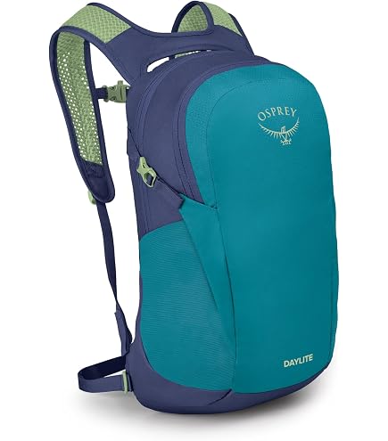 designed jansport backpacks big student cool JanSport Cool Student 15" Computer Backpack