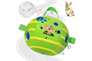 TAUCHGOE Jouet Chien, Jouets Electrique pour Chiens, Jouet Chien Indestructible à Chargement USB, Diamètre 11 CM, Adaptés aux Chiens de Petite et Moyenne Taille
