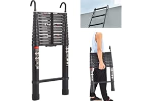 BRIEFNESS Teleskopleiter mit abnehmbarem Haken, Aluminiumleiter, robust, ausziehbar, Mehrzweckleiter, 150 kg Tragkraft, EN131, Sicherheitsgeprüft