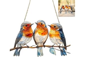 XINGBIN Large Garden Ornaments,Robin Garden Ornament & Hanging Decorations:Acrylic Suncatcher for Windows,Outdoor Hanging Ga/rden Orna/ments and Ro/bin Or/naments for Garden,Ro/bin Gifts,Sun Catchers #29