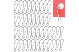 Rayong 100 PCS Clip per Asta per Bandiera,Gancio per Bandiera Acciaio Gancio,Bandiera Clip in Acciaio Inox,per Portachiavi,Calze, Stendibiancheria, Bandiera