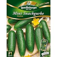 Quedlinburger Snack-Gurke 'Picolino' F1, 1 Tüte Samen