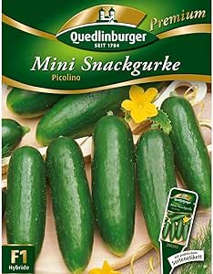Quedlinburger Snack-Gurke 'Picolino' F1, 1 T&uuml;te Samen
