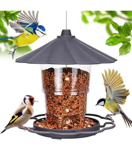 Fonowx Mangeoire à Oiseaux à Suspendre