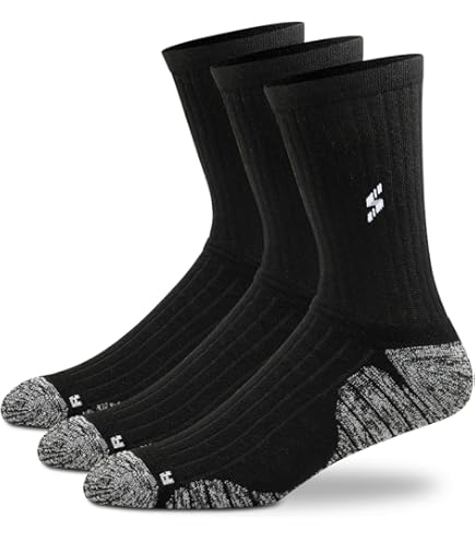 Kookaburra - Blanckendaell Park