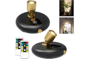 ARIXINKS Indoor Plant Spotlight Battery Operated,Picture Light with Remote,Wall Painting Uplight,Wireless Dimmable Timer,Spot Light for Plants Trees Pictures Display Painting Art Frame Gallery Portrait