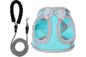 WENDISI Dog Harness with Leash Set, Step-in Breathable Puppy Cat Dog Vest Harnesses, No Pull Adjustable Reflective Puppy Harness with Soft Padded Vest for Extra-Small/Small Medium Large Dogs and Cats
