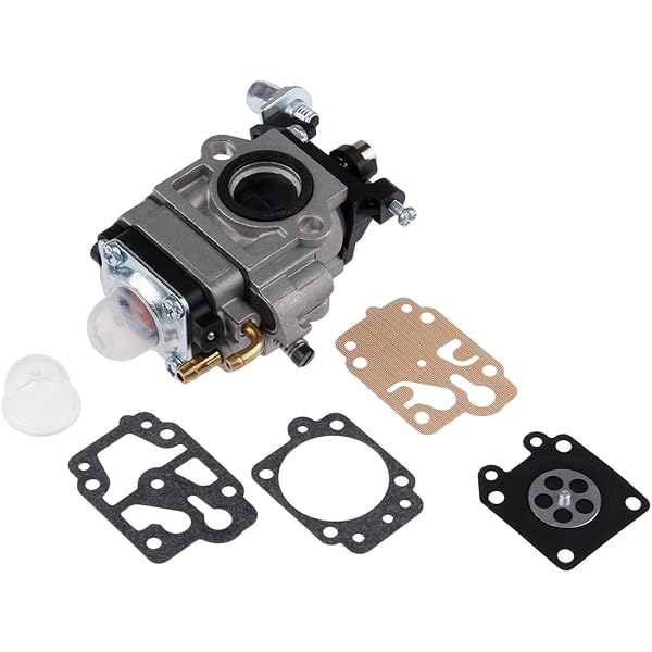 Hitachi 6698474 T/CG24EASPSL Carburetor Assembly : Amazon.co.uk 