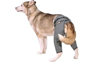 Arblina Hundebody Nach OP, Hundebody für Hinterbeine, Postoperativ Recovery-Anzug für Männliche & Weibliche Hunde, Leckschutz Hund für Kleine/Mittlere/Große Hunde