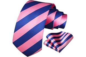 HISDERN Cravate Homme Mariage Cravate à Carreaux/Pied-de-poule et Mouchoir La Cravate des Hommes & Carre de poche Set