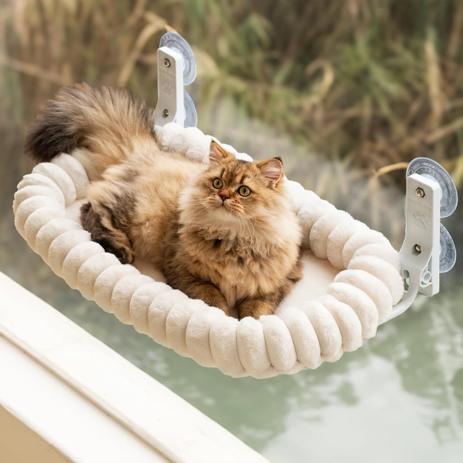 Avis d'Expert & Test Approfondi : EDAGNY Stijlvolle kattenraam bed hangmat voor (Sélection)