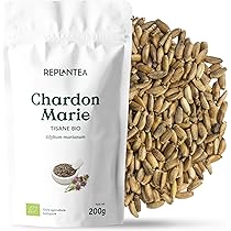 Fenouil Semence - Tisane Naturelle Pour Une Digestion Détendue Et