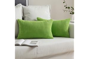 MIULEE Fundas Cojines para Cama Funda de Almohada de Pana Cojin de Sofa Color Solido Poliéster Decoracion para Habitacion Dormitorio Oficina Silla Salon Comedor 2 Pieza 30x50cm Manzana Verde