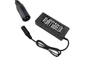 YYHQQBAD Caricabatteria agli ioni di litio da 36 V 2 A Caricabatteria da 42 V 2 A al litio Caricabatterie ai polimeri di litio per connettore XLRM a 3 pin per eBike elettrico da 36 V serie 10