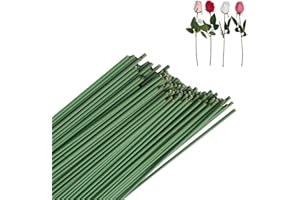 RAIRSKY 100 Pezzi Steli per Fiori 30cm Filo per Composizioni Floreali Filo Floreale Morbido Verde Gambi Floreali in Filo Metallico per la Produzione di Fiori Artificiali, le Composizioni Floreali