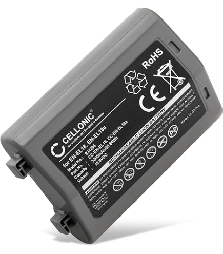 vhbw 1x batteria compatibile con Panasonic HX-WA30EG, HX-WA30, HX-WA3, HX- WA20EG, HX-WA20, HX-WA2 fotocamera (600mAh, 3,6V, Li-Ion