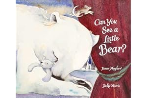 Can You See a Little Bear?