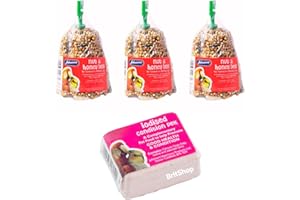 BRITSHOP Iodised Condition Pek with Johnsons NUTS & HONEY Bell For BIRDS 3 Pack