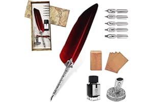 AOMAYLL Pluma Antigua Escritura,Pluma de Inmersion,con 5 Consejos Diferentes, Juego de tinta de pluma para caligrafía,Regalos para los amantes de los artículos vintage.